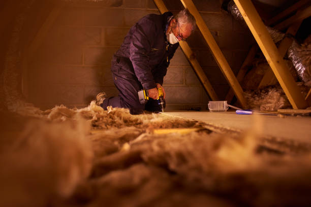 Best Eco-Friendly Insulation in San Saba, TX